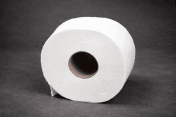 Tualetinis popierius – 1